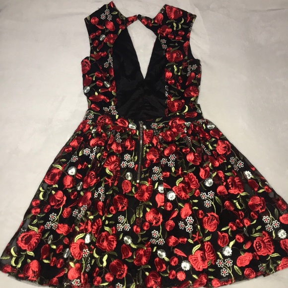 🥀Akira dainty embroidered red rose dress 🥀 - Picture 2 of 2